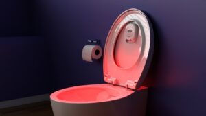 Toilet night light
