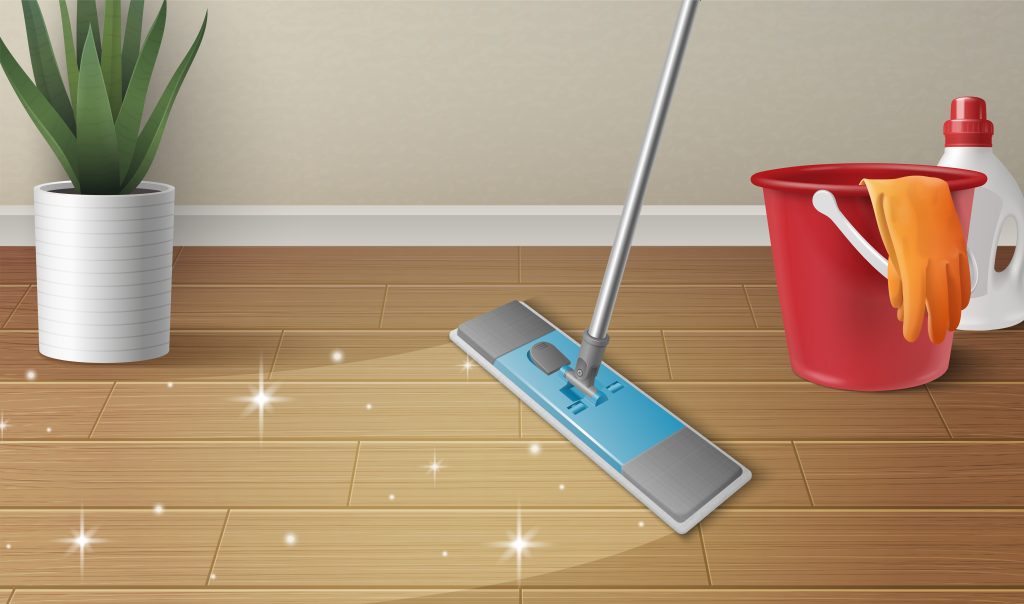 Household cleaning products composition