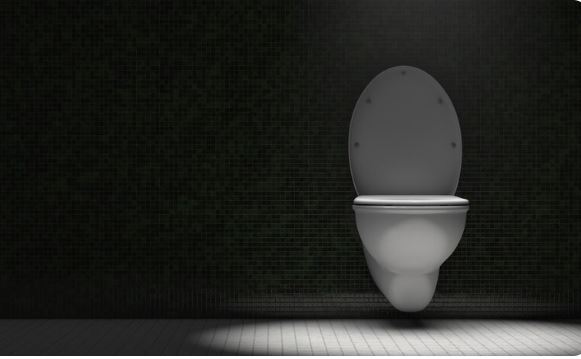 Toilet night light